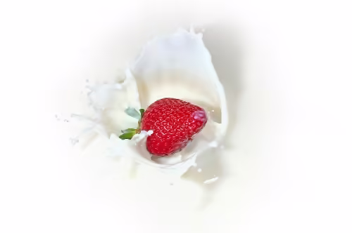 AI润色终极技巧：一键提升文案质量的颠覆性方法